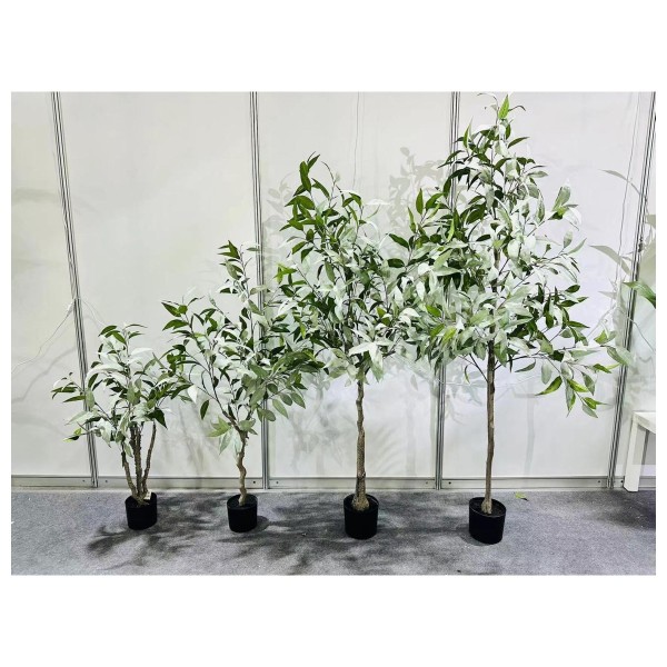 桉树 140cm