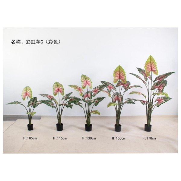 彩虹芋C(彩色) 105CM