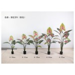 彩虹芋C(彩色) 150cm