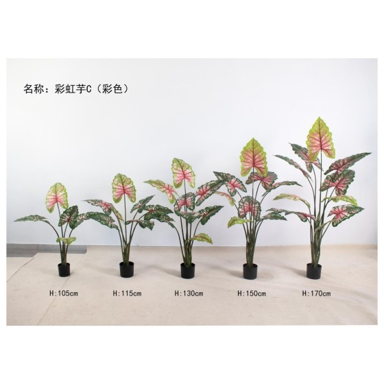 彩虹芋C(彩色) 150cm