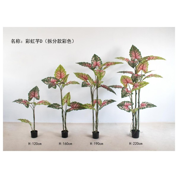 彩虹芋D(拆分款彩色） 120cm2杆