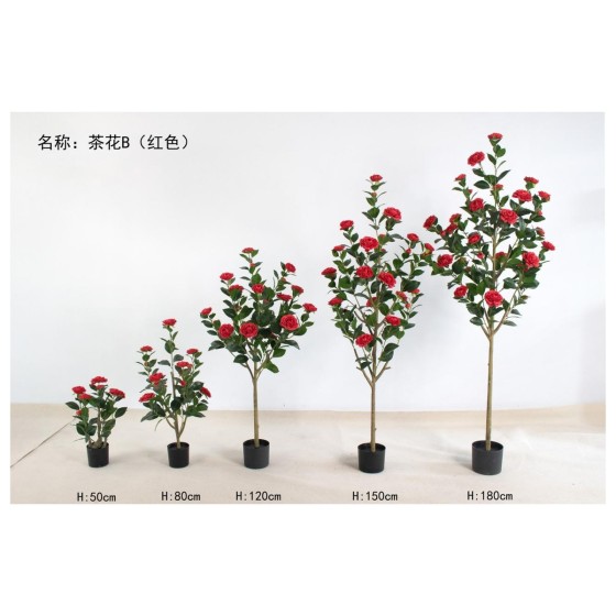 茶花B（红色） 120cm
