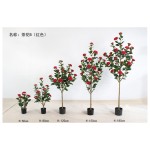 茶花B（红色） 160cm