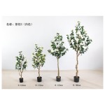 茶花C(白色) 120cm