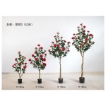 茶花D(红色) 100cm