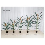 飞羽A（拆分款) 120cm