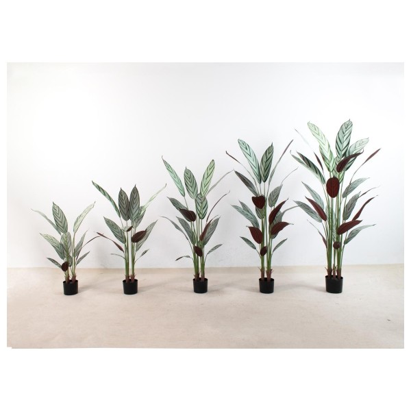 飞羽B 140cm