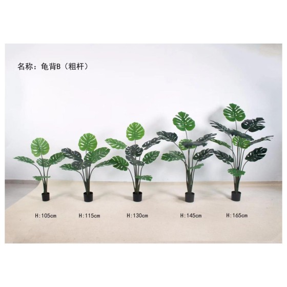 龟背B（粗杆） 130cm