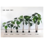 龟背D（高杆绿（高杆绿色） 185cm双杆