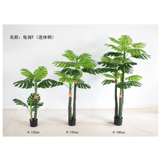 龟背G(连体柄） 150cm