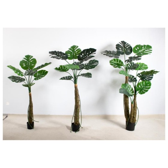 龟背H(彩虹芋杆) 160CM