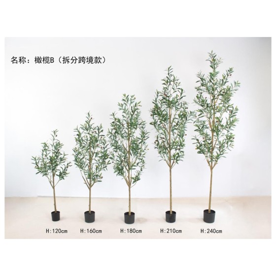 橄榄B(拆分跨境款) 120