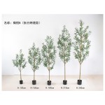 橄榄B(拆分跨境款) 210cm