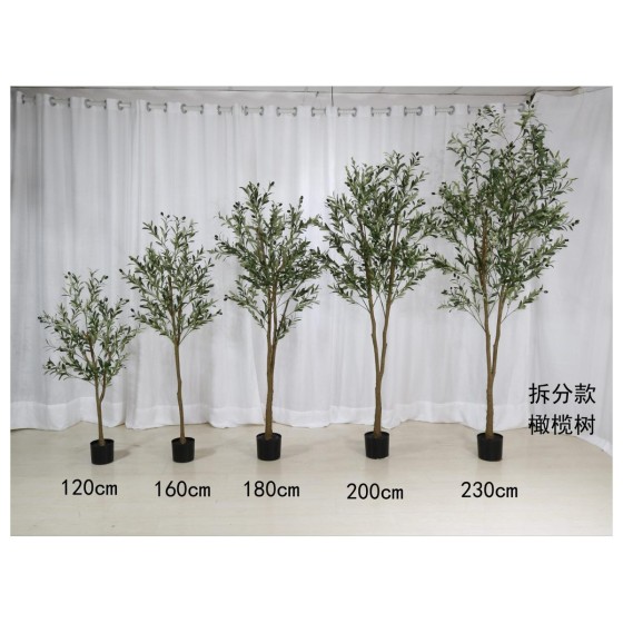橄榄C（拆分款） 160cm