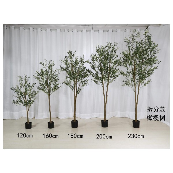 橄榄C（拆分款） 160cm