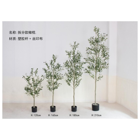 橄榄D（单杆拆分款） 120cm