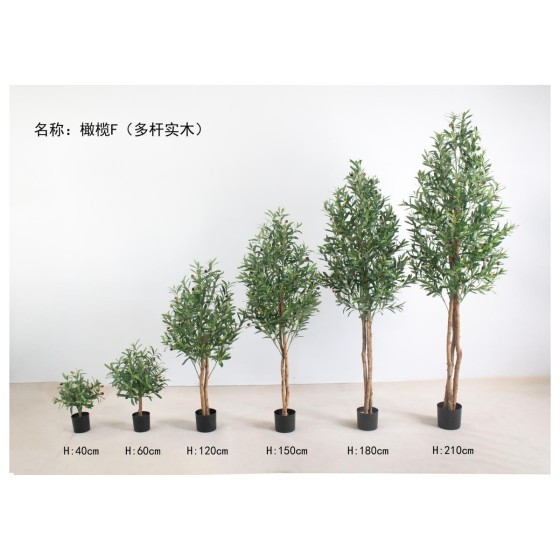 橄榄F（多杆实木） 120cm