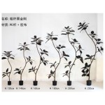 黑金刚（粗杆黑叶） 220