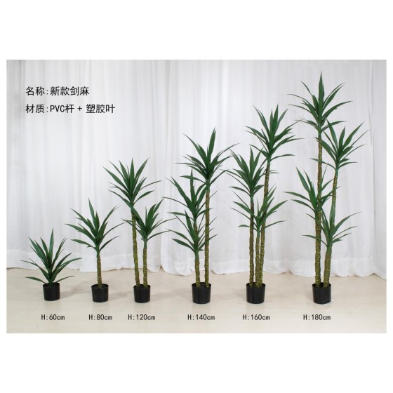 剑麻A(新款) 60单头