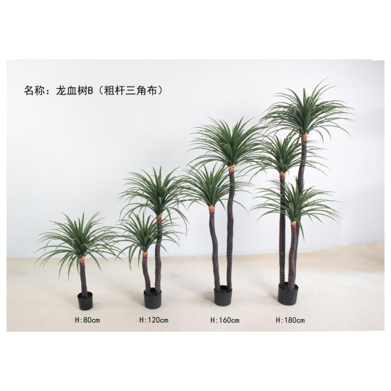 龙血树B（粗杆三角布） 120cm双杆