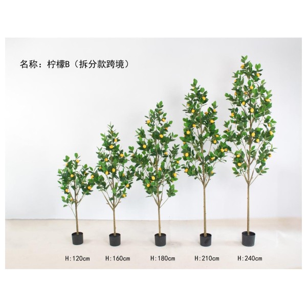 柠檬B(拆分款跨境) 240cm