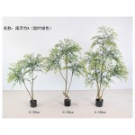 南天竹A胶叶绿色 120cm