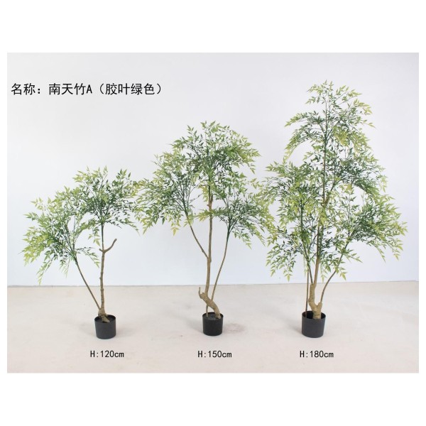南天竹A胶叶绿色 150cm
