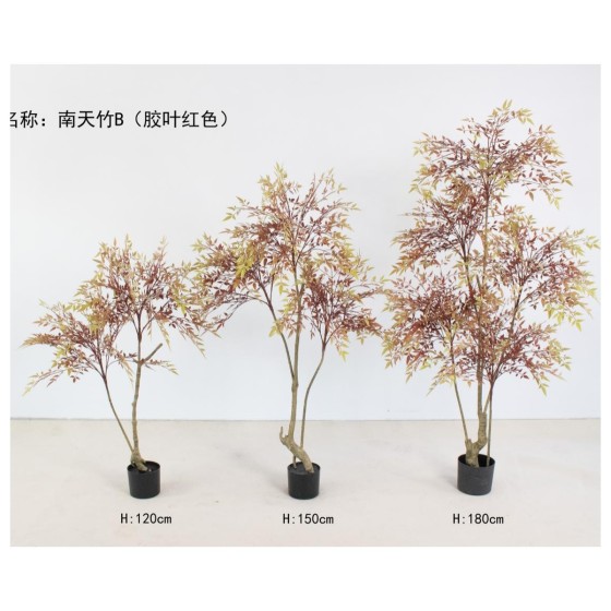 南天竹B胶叶红色 180cm