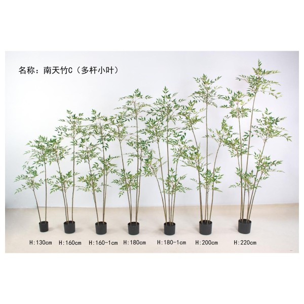 南天竹C（多杆小叶绿色） 160cm