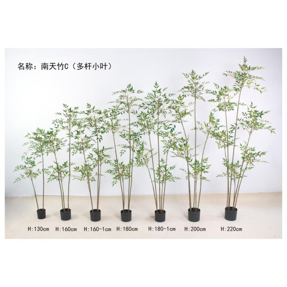 南天竹C（多杆小叶绿色） 180cm