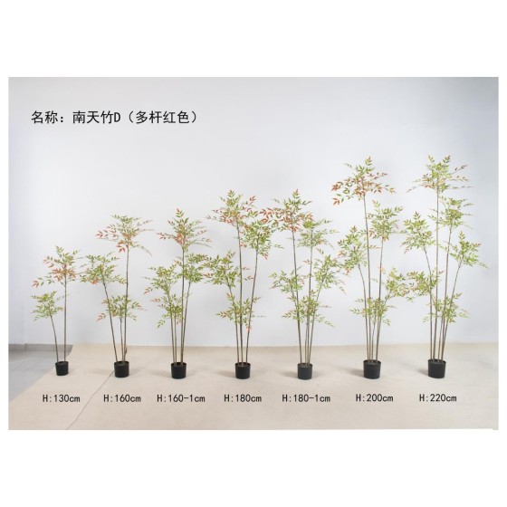 南天竹D（多杆小叶红色） 160cm