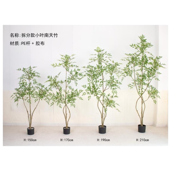南天竹E(拆分款小叶) 170cm