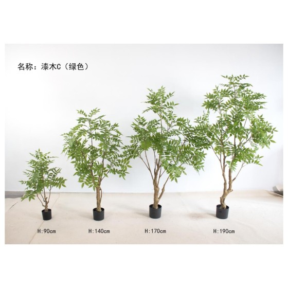 漆木c（绿色） 170cm