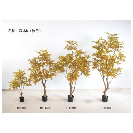 漆木D（秋色） 90cm