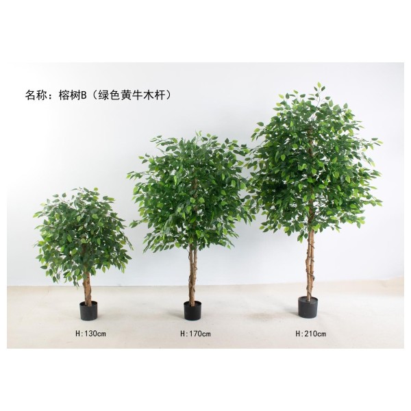 榕树B（绿色黄牛木杆） 210cm