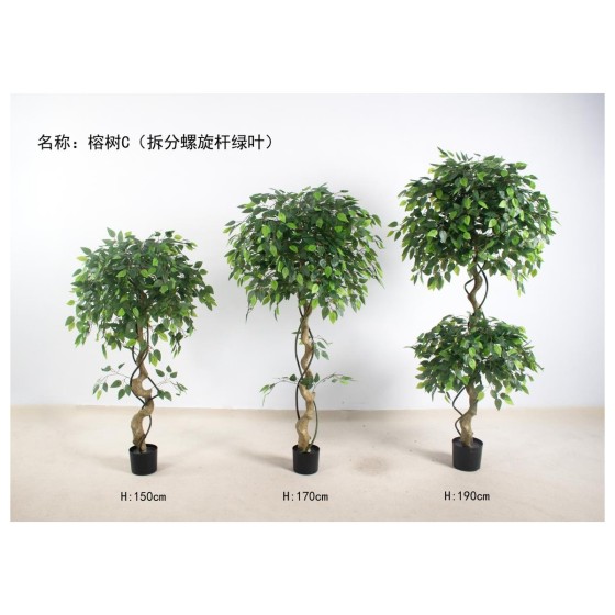 榕树C(拆分螺旋杆绿叶) 170cm