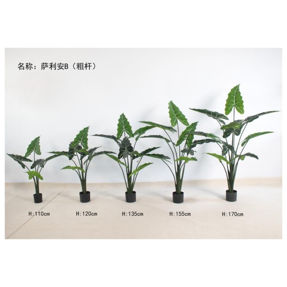 萨利安B(粗杆) 170cm