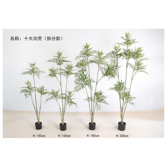 十大功劳（拆分款） 200cm