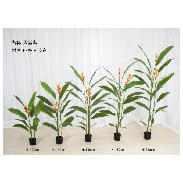 天堂鸟(拆分款） 140cm