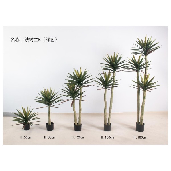 铁树兰B（绿色） 80cm单杆
