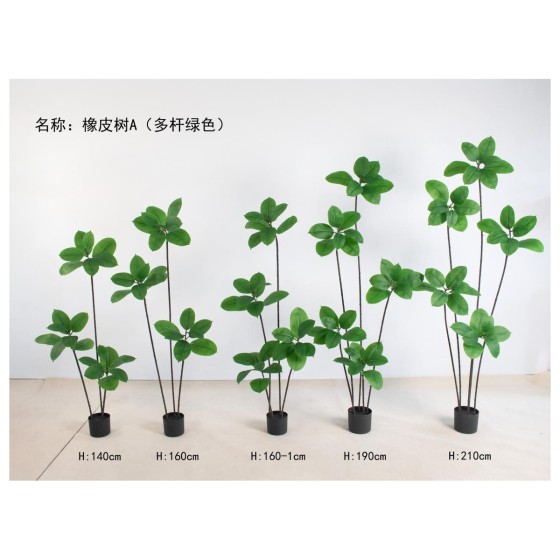 橡皮树A（多杆绿色） 190cm