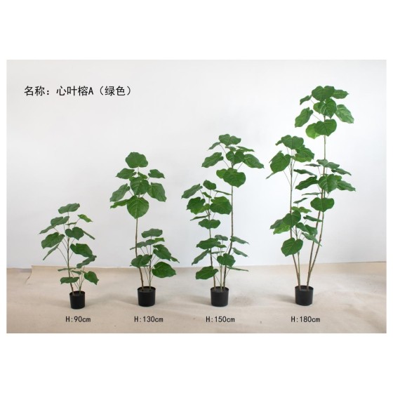 心叶榕A(多杆绿色) 70CM单头