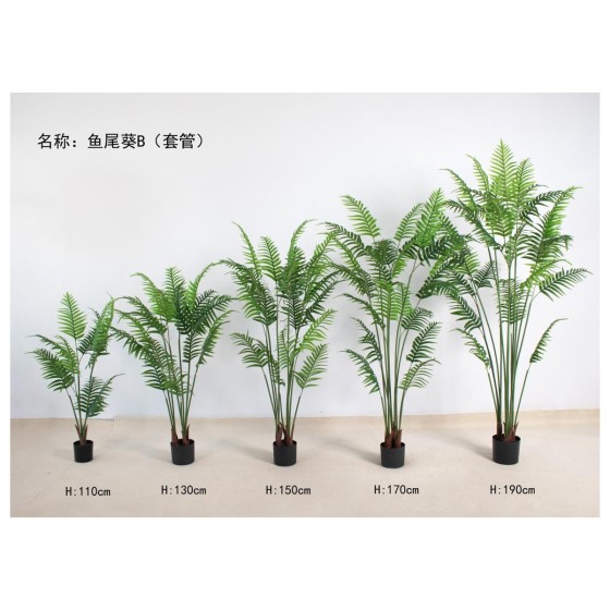 鱼尾葵(套管耳朵款) 80