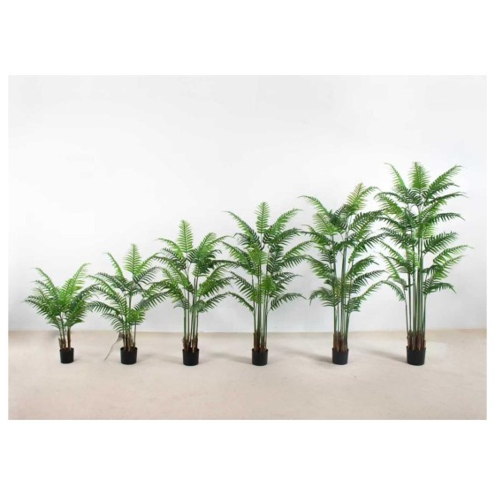 鱼尾葵B(套管棕榈壳款) 130cm