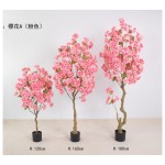 樱花A（粉色） 120cm