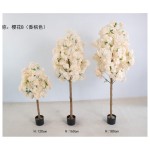 樱花B（香槟色） 160cm