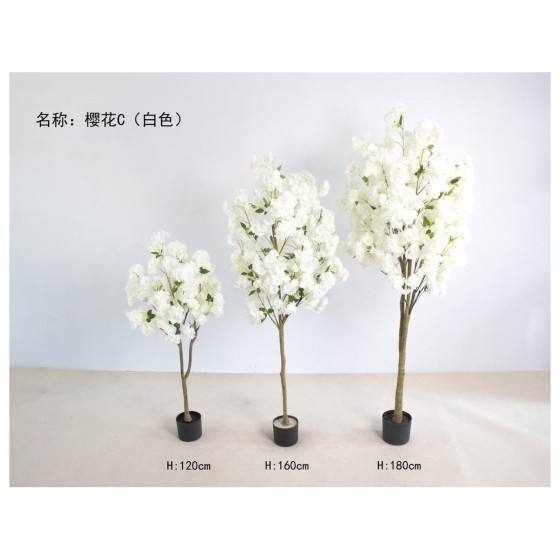 樱花C（白色） 120cm