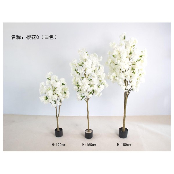 樱花C（白色） 120cm