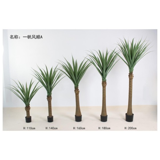 一帆风顺A 160cm
