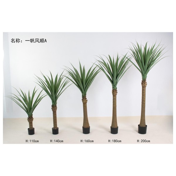 一帆风顺A 200cm